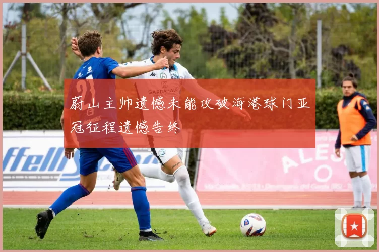 蔚山主帅遗憾未能攻破海港球门亚冠征程遗憾告终